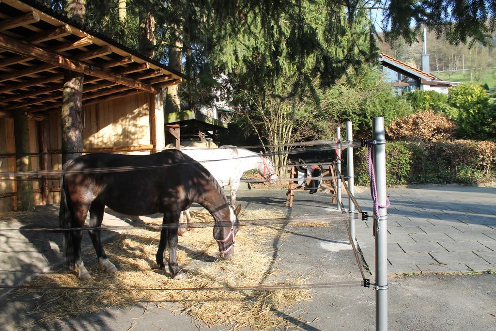 Ferienhaus "Kleiner Onkel" Honerath Экстерьер фото